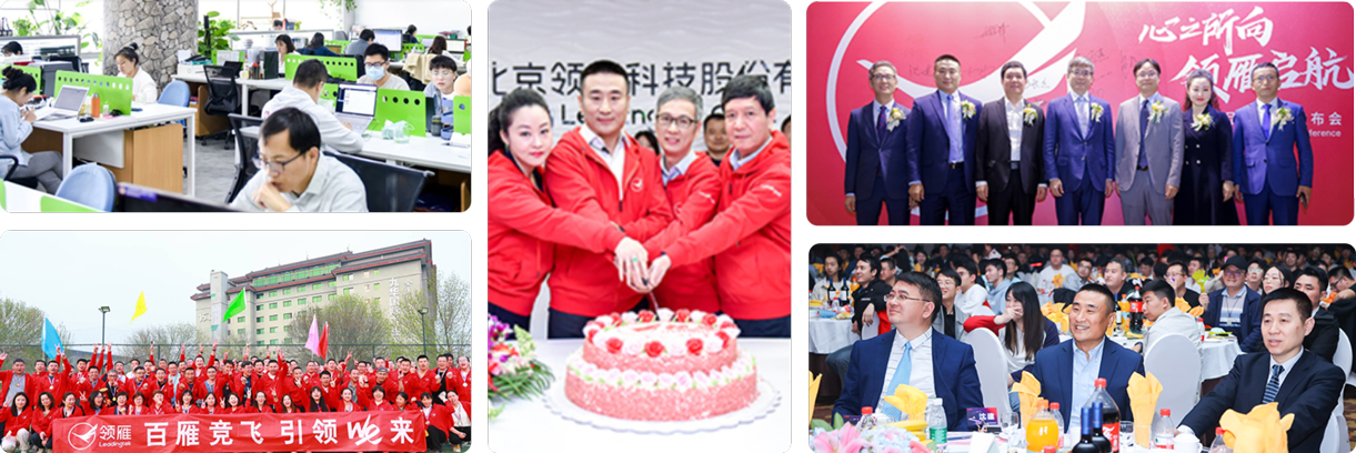 领雁科技连续多年在中国银行业 IT 解决方案市场排名领先